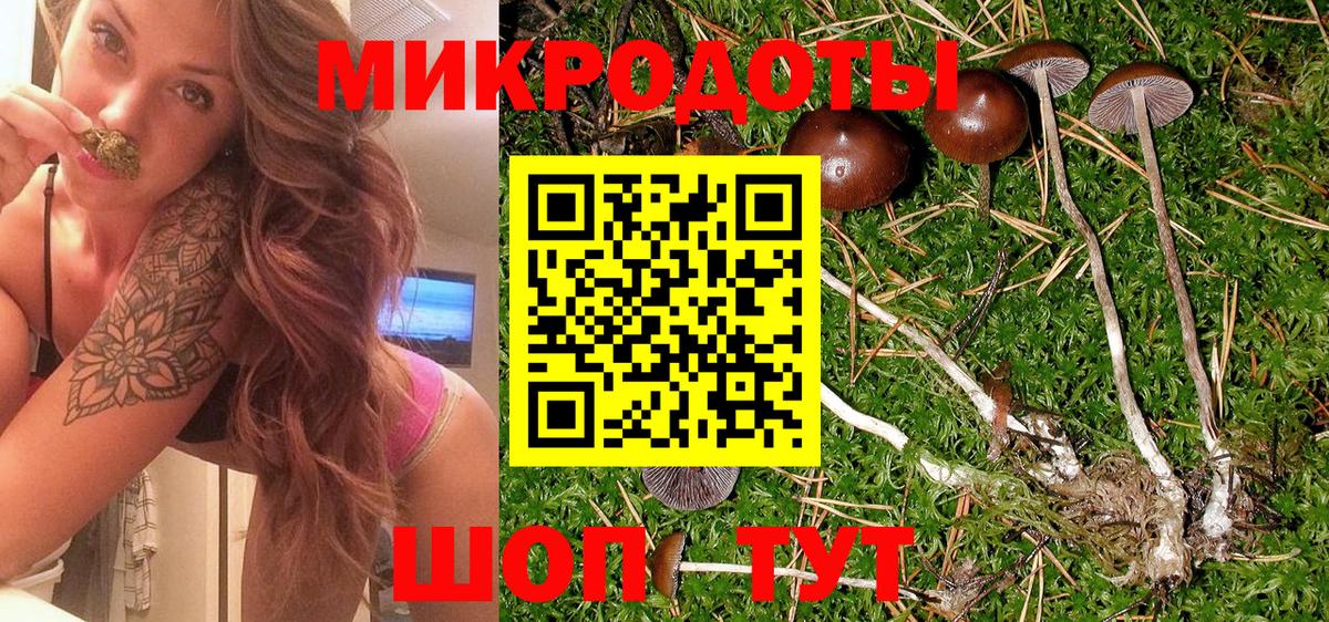 Назарово  Псилоцибиновые грибы мухоморы  Вход с VPN 